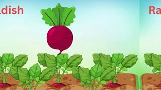 Vegetables | Children Identifying Vegetables | Wise Along with WiseLearners