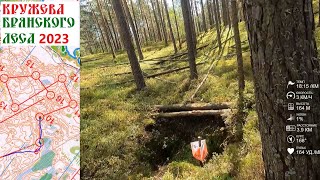 Спортивное ориентирование (headcam orienteering) - Кружева Брянского Леса, классика - 30.07.2023