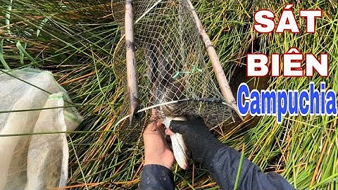 Mẹo Đặt Lờ Ít Ai Biết – Dính Cá Lóc Khủng Ở Khu Vực Giáp Biên Campuchia