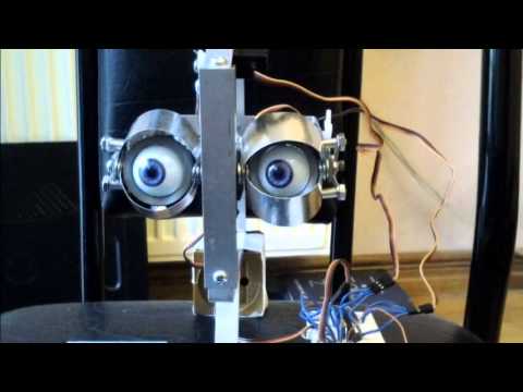 თვალები