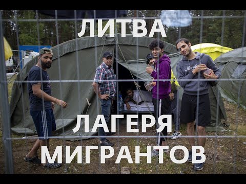 Бейне: Литвалық цеппелиндер: қарапайым дайындық үшін фотосуреттермен қадамдық рецепттер