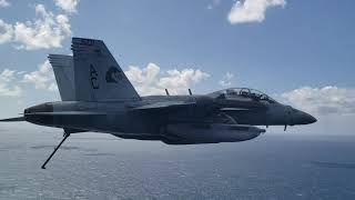 VAQ-130 Zappers Cruise 2021