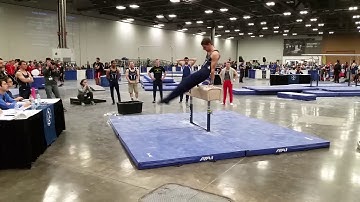 Wronk 2017 NAIGC National Finals Pommel Horse