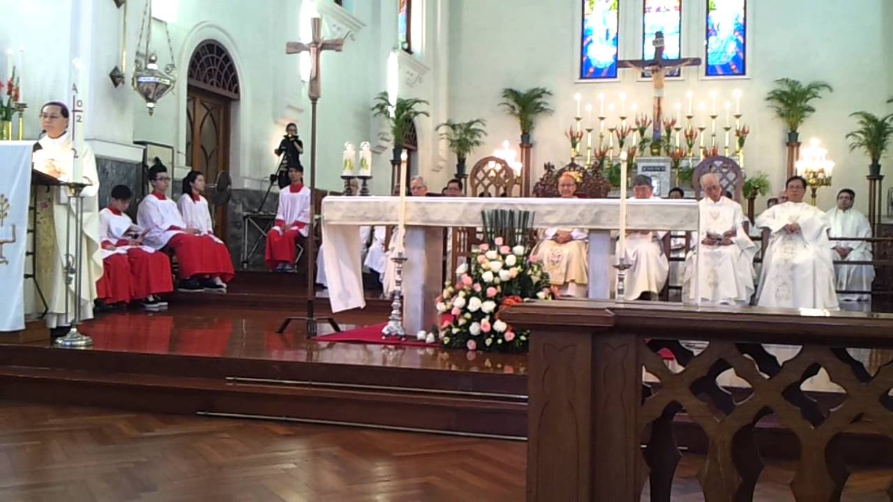 澳門教區慶祝湯漢主教擢陞樞機感恩祭 1