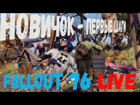 Видео: Fallout 76  Новичок - первые шаги в  Пустоши ч4