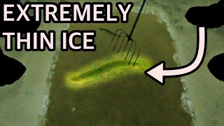 Spearfishing BIG Pike on THIN ICE!!!