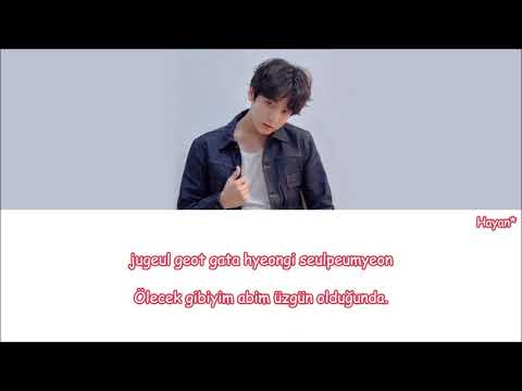 Jungkook - Begin  Turkish Sub./Türkçe Altyazılı