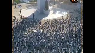 Mil pingüinos se toman la Plaza Italia