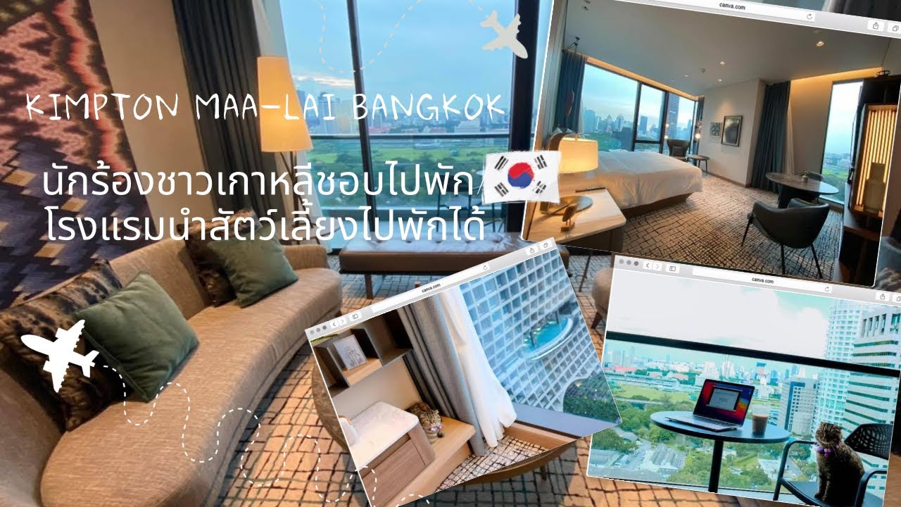 Kimpton Maa-Lai Bangkok โรงแรมที่ดาราชาวเกาหลีชอบไปพัก/นำสัตว์เลี้ยงไปพักด้วยได้  - Youtube