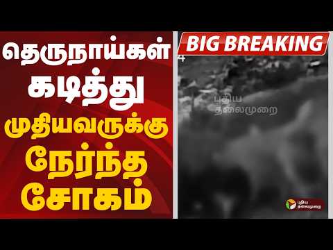 #BREAKING: தெருநாய்கள் கடித்து முதியவருக்கு நேர்ந்த சோகம் | Kumbakonam | DogBite