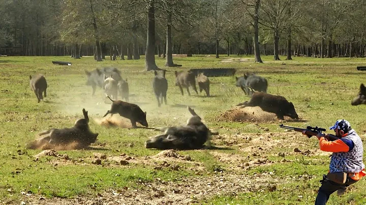 Intense Survival Battle - Farmer Protects His Farm with Trap – Dramatic Moment Fight Back