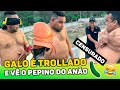 GALO SE IRRITA AO VER PEPINO DO ANÃO EM TROLLAGEM | BIG BOGA BRASIL