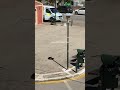 The Smartest Cat
