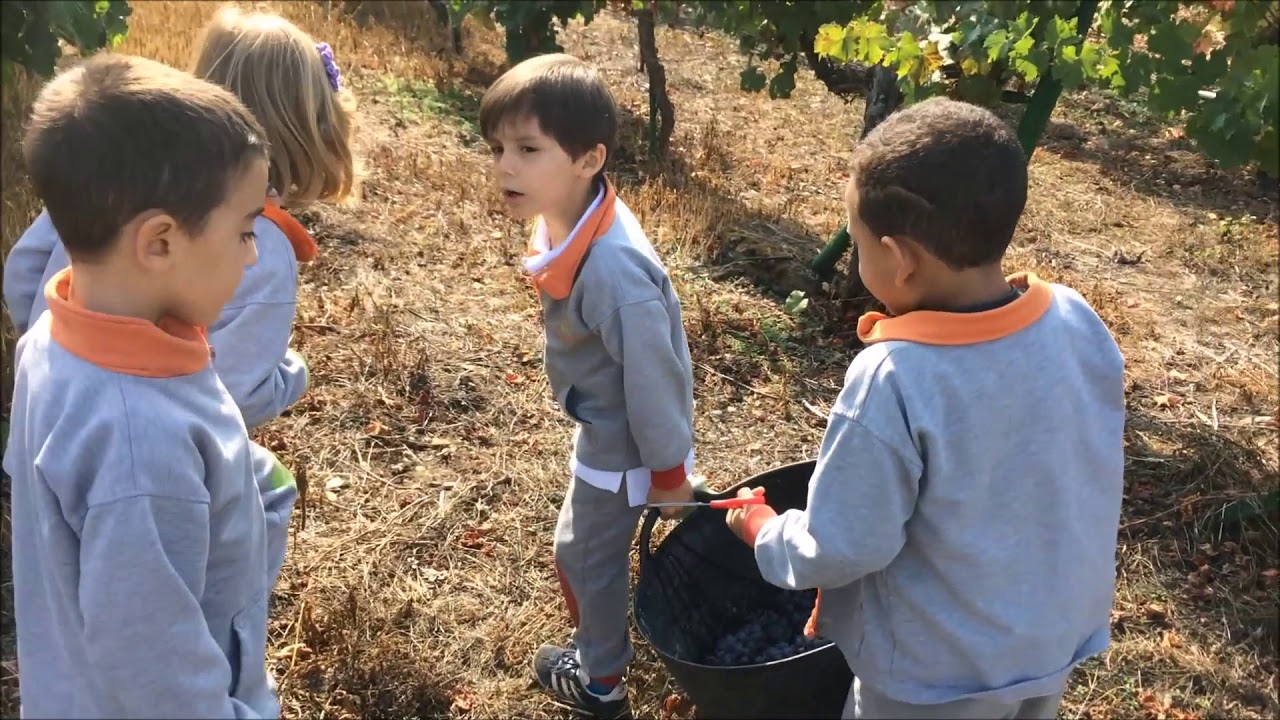 Proyecto Ribeira Sacra de Escolapios Monforte 