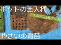 【農業のすすめ】ポットの土入れと種まき前の準備_野菜ハーブの育苗 seeding pot