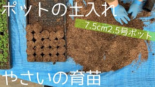 【農業のすすめ】ポットの土入れと種まき前の準備_野菜ハーブの育苗 seeding pot