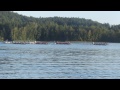 ★ Canadian Dragon Boat Championships 2013 Day 3 Race 93 Storm