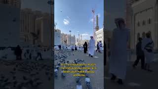 Anneth  Mungkin Hari Ini Esok Atau Nanti X Tetap Untukmu story Wa  Snapgram