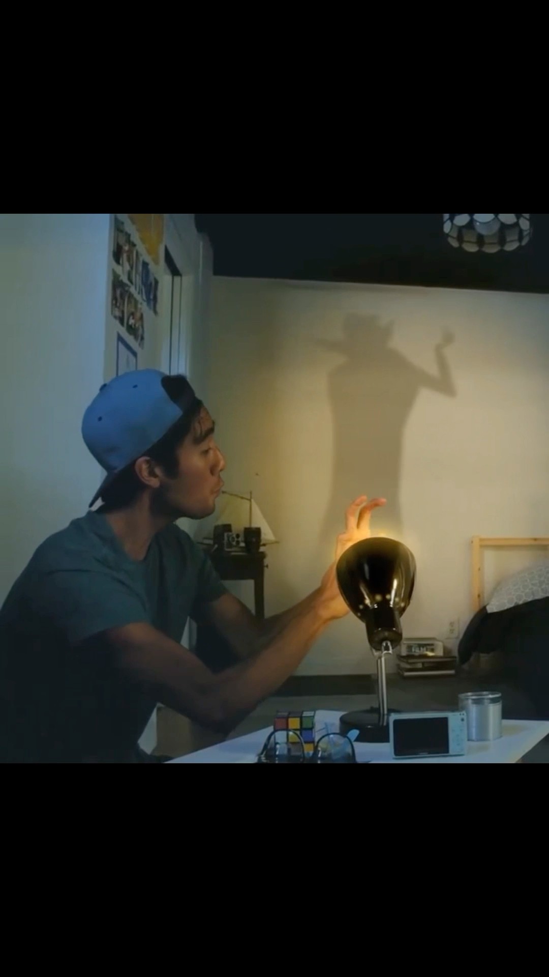 Hand Shadow Puppet MAGIC