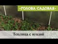 Голова садовая - Теплица с ягодой