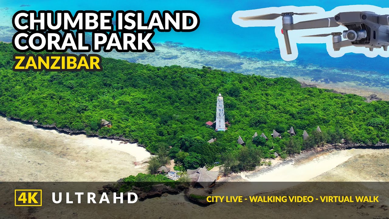 4K Zanzibar - Chumbe Island Coral Park - Attractions in Zanzibar