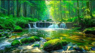 Beautiful and relaxing music|Melodies merge to soothe the soul#relaxing music by SOTHING MUSIC  991 views 3 weeks ago 2 hours, 35 minutes