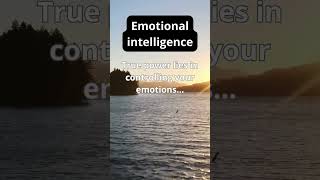 Journey to Self-Discovery: Exploring Authenticity #13 #shorts