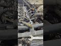 стучат гидрокомпенсаторы на ниве 21213.