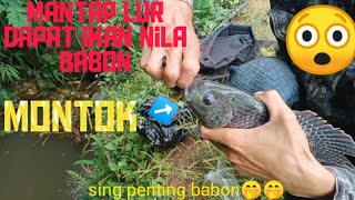 mancing di sungai lur dapat ikan nila babon umpan experimen @hmp8741 #mancing #mancingmania #umpan