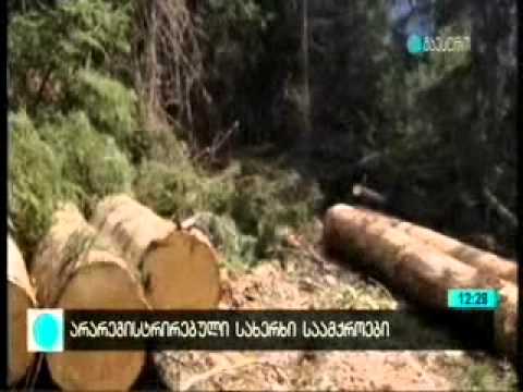 MOE: ახალციხეში და ბორჯომში არარეგისტრირებული სახერხი საამქროები აღმოაჩინეს