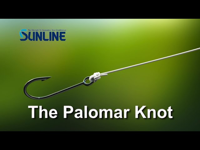 Fishing Knots:Palomar Knot【SUNLINE KNOT SCHOOL】 class=