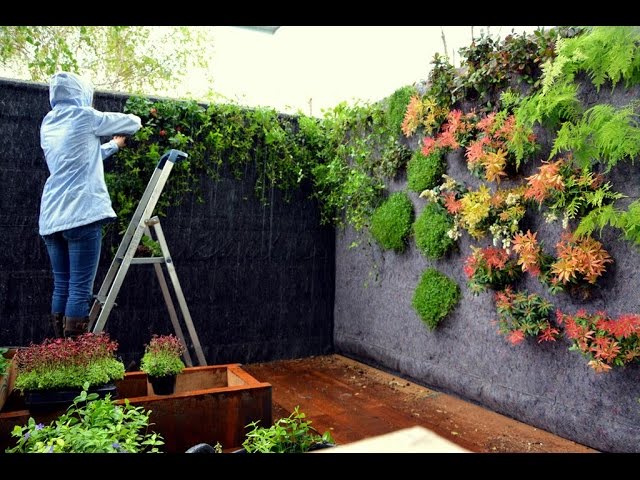Cómo hacer un jardín vertical en casa. - PBPM