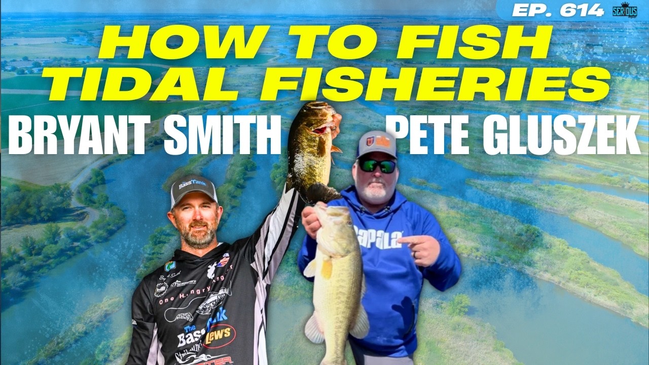 How to Find & Catch Fish on TIDAL Fisheries!