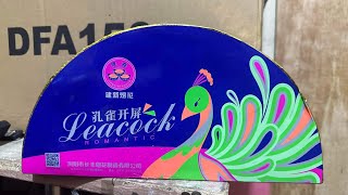 Peacock Fountain Salubong 2024 Navotas City, Philippines