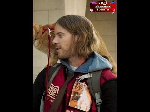 Помог сестре королевы, а она отблагодарила его #кино #фильм #дорама