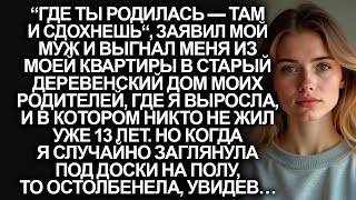 видео: “Где родилась, там и помрёшь!”, заявил муж и выгнал из моей квартиры. Но когда я пришла в старый дом картинка: “Где родилась, там и помрёшь!”, заявил муж и выгнал из моей квартиры. Но когда я пришла в старый дом