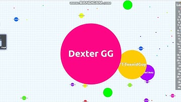 AGAR.IO PRIVATE SERVER USING BOTS!!! #UNCUT