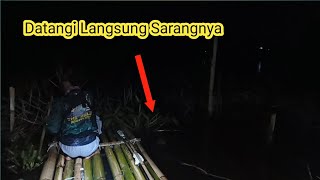 Camp fishing #6 - MANCING DI SARANGNYA IKAN BELUM BANYAK ORANG YANG TAU