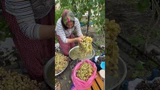 Toprağı Bol Olsun Üzüm Pekmezi Güzel Olur