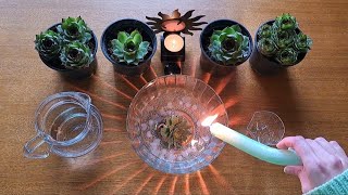 Kako Privući Novac? Manifestacija