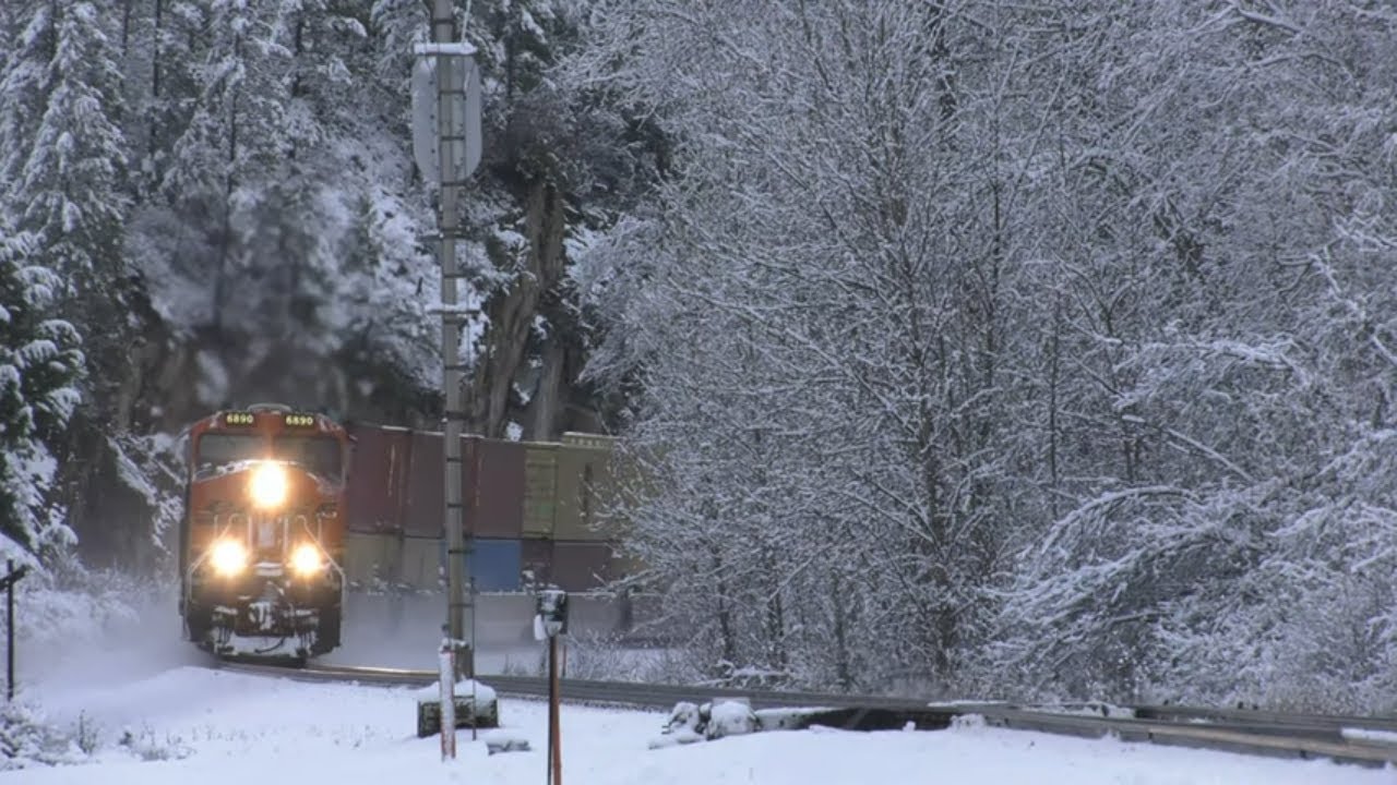 (4K)  Two Grain Trains and a Stack Train at West Ripley on BNSF's Kootenai River Subdivision