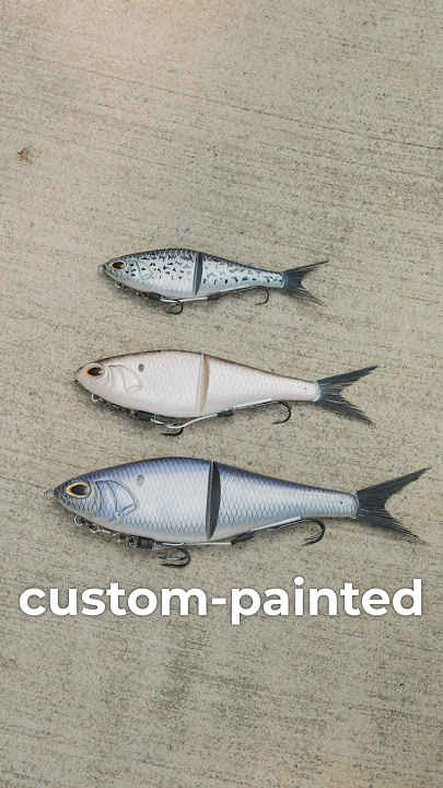 🚨New Bait Alert🚨 SOFT GLIDE BAIT that doesn’t Break the BANK!💰#bassfishing #fishing #glidebait