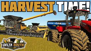 HUGE HARVEST & HUGE YIELDS! 🇺🇸 Delta South Grain & Harvest - Episode 10 - Farming Simulator 25