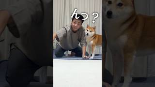毛国　国王の休日