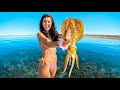 Giant Tiger Squid Catch And Cook