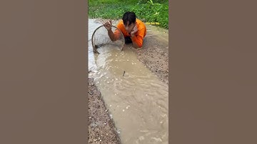 Cá Lớn - nằm ngủ đợi Cá Trê Khủng vào vợt 😱 #khacthuyvlogg