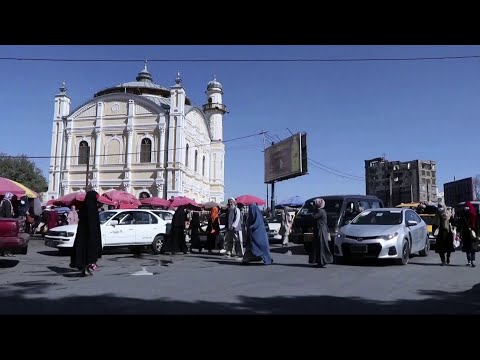 هفت سالگی مرگ فرخنده