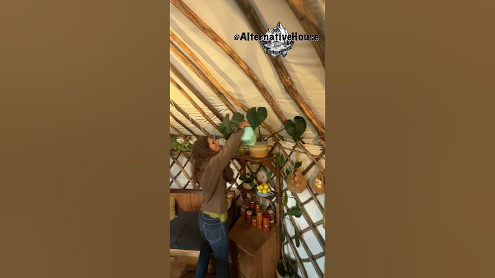 Living Full-Time in a DIY Yurt Built for Just $4,000! 🌿🏡 (Quick Tour Inside!)