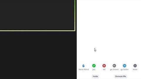 How to Raise Your Hand on Zoom / Gallery View