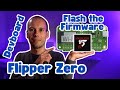 🐬Flipper Zero Developerboard - Marauder Firmware flashen - Tutorial (#046)